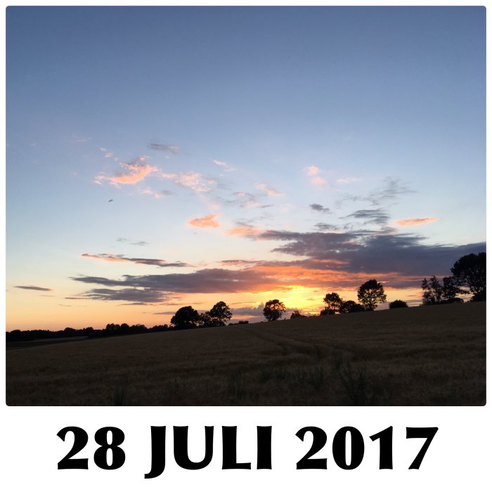 Solnedgång över en åker med silhuetter av träd under en molnströdd himmel, texten "28 JULI 2017" nedtill.