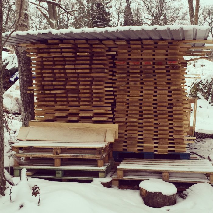 Ekplankor staplade för torkning i snölandskap, del av projektet närproducerad ek-altan.