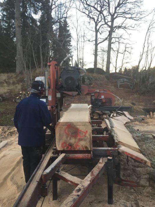 Mobilt sågverk omvandlar en fälld ek till plankor för bygge av närproducerad altan.