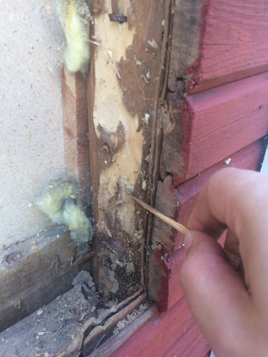 Skadat fönsterhörn i torp med brunfärgat, poröst trä och små svarta prickar synliga vid skrapning.