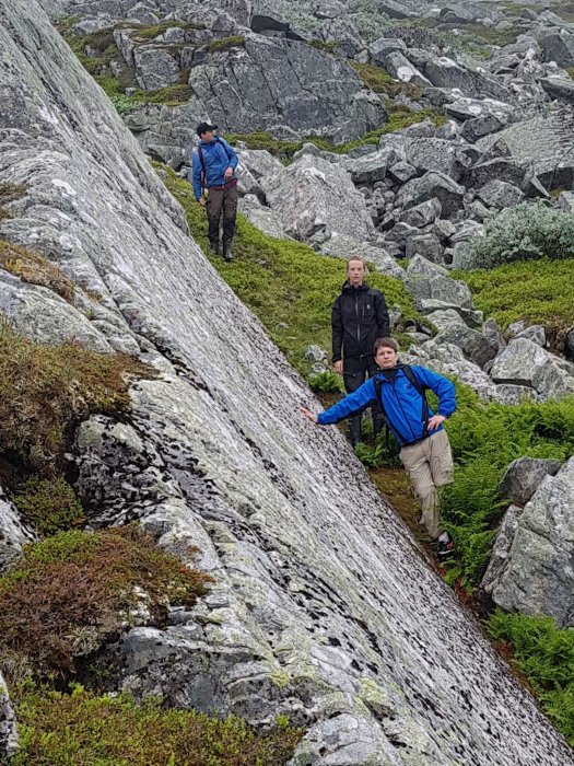 Tre personer vandrar på en klippig terräng med grönska runtomkring.