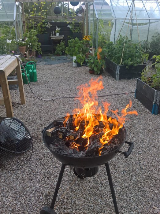 Grill med eld i en trädgård, odlingslådor med växter och ett växthus i bakgrunden.