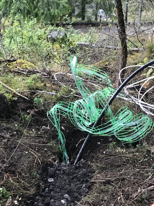 Grön fiberkabel som delvis är nedgrävd i skogsmark med synlig grävd jord och skog i bakgrunden.