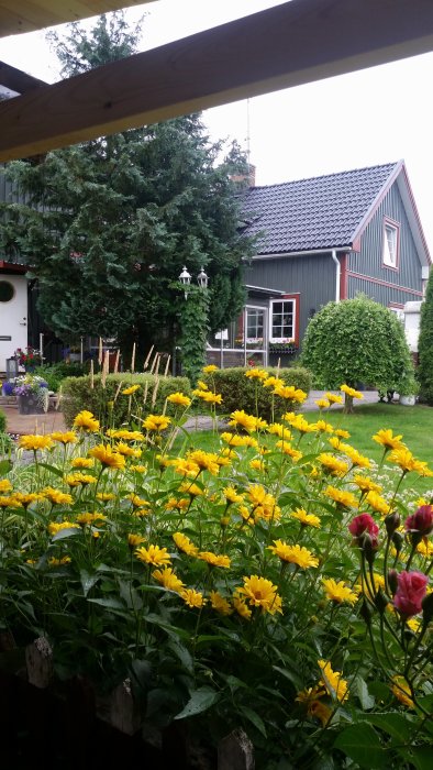 Ny målad fasad på tvåvåningshus med fasadbelysning, omgiven av en trädgård med gula och rosa blommor.