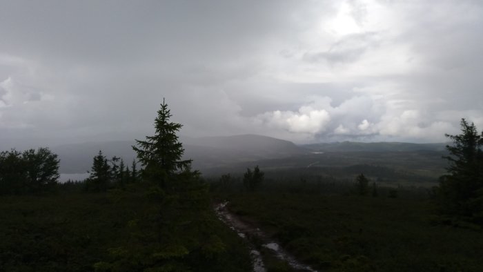 Molnigt och regnigt landskap med skog och berg under en hike.