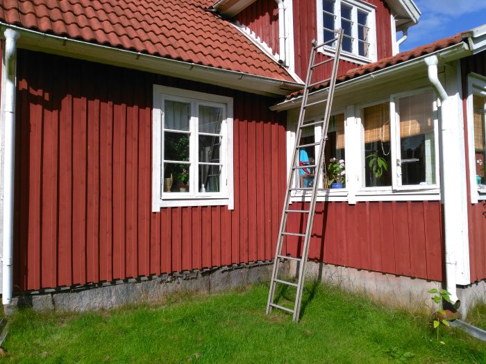 Ett rött trähus med vita fönster och en stege lutad mot en vägg, plats för växthus mot fasaden planeras.