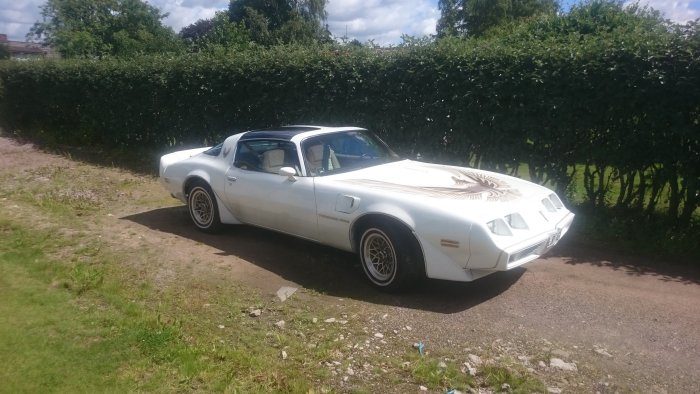 Vit klassisk bil med distinkt dekal på huven parkerad utomhus.