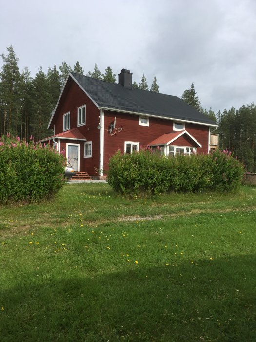 Röd stuga med svart tak omgiven av en grönskande gräsmatta i en skogsglänta.