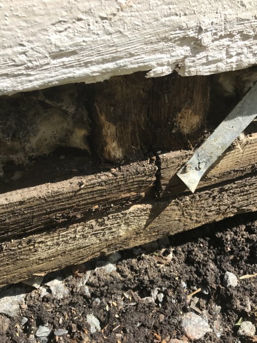 Murkna träreglar och syll vid husets grund efter borttagning av panel och jord.