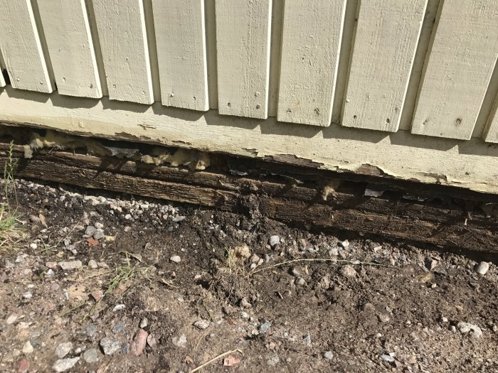 Före renovering: murkna träreglar och skador på husgrund synliga efter att panel tagits bort.