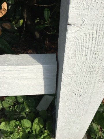 Nymålat vitt staket med en synlig glipa mellan två ojämnt kapade brädor mot en bakgrund av gröna växter.