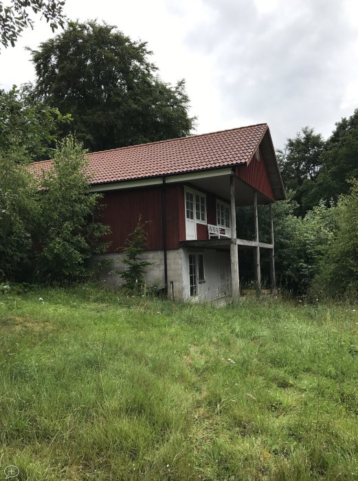 Övervuxen trädgård framför röd stuga med högt gräs och grönska runt området.