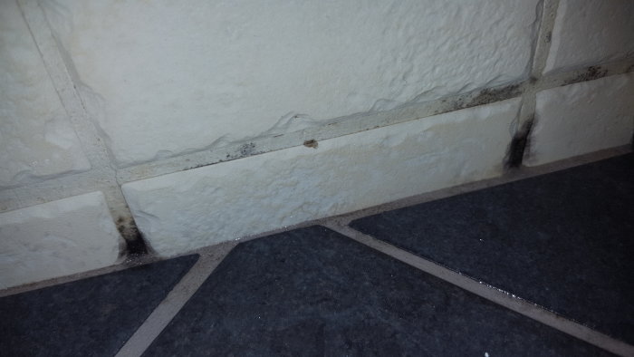 Kakelvägg med ljusbruna fläckar högst upp och svarta fläckar på fogarna nära golvet.