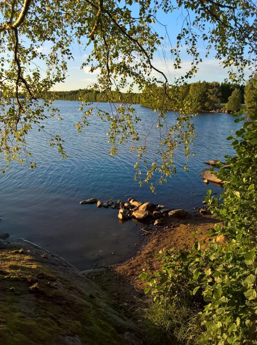 Vy över en lugn badplats med stenar vid vattnet och grönskande träd en solig kväll.