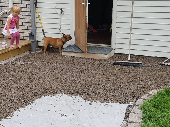 Gångväg av krossade betongpannor och grus vid husentré med barn och hund.