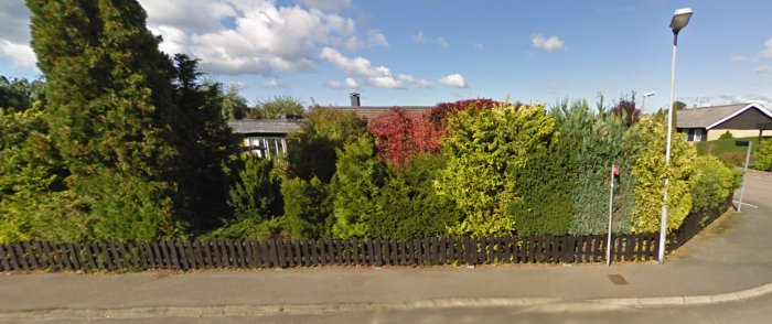 Husets fasad dold bakom täta barrväxter och buskar längs en gatukant med ett lågt plank.