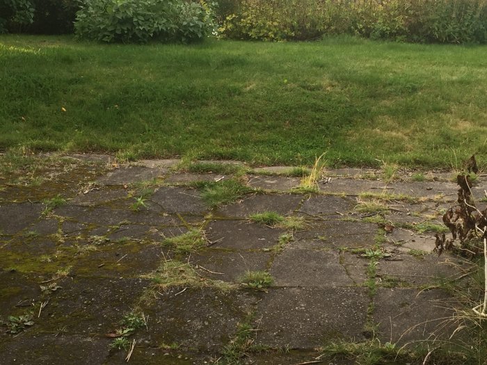 Overgrown and worn driveway with grass and moss between paving stones, signs of neglect.