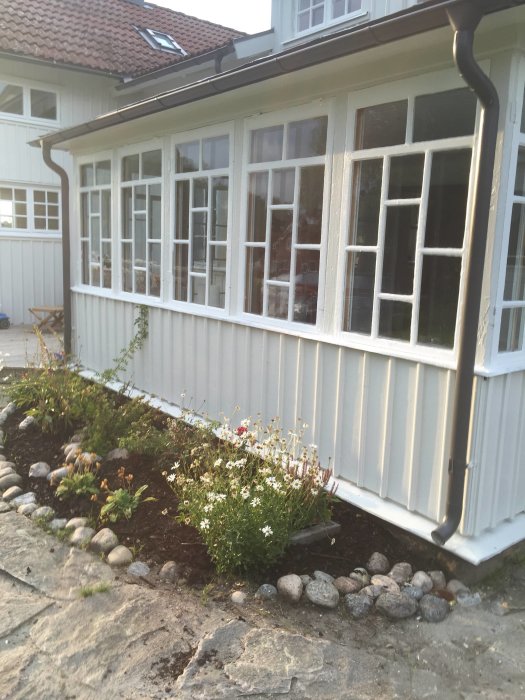 Vitmålad veranda med många fönster på ett hus, omgiven av en liten blommande trädgårdsrabatt och stenläggning.