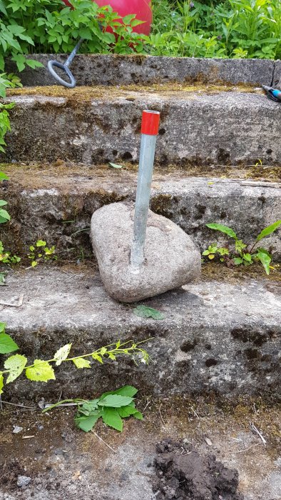 20170610_121803.jpg