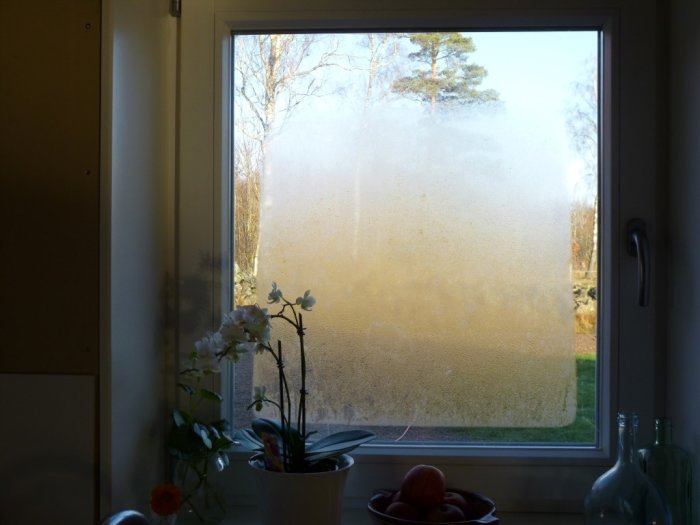 Fönster med imma som skymmer utsikten mot en klar himmel och träd, med blommor och frukt i förgrunden.