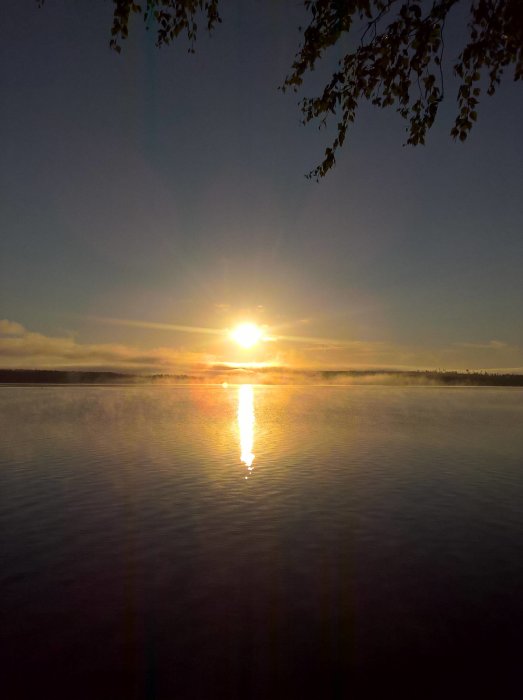 Soluppgång över en dimmig sjö med trädgrenar i förgrunden.