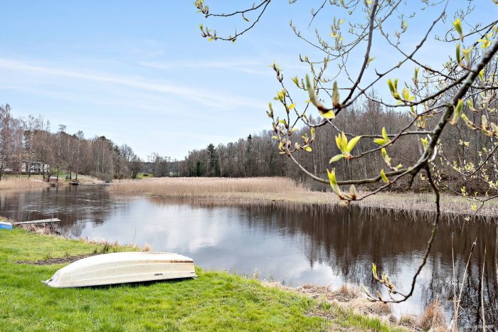 Vårutsikt över en lugn sjö med en uppochner vänd båt vid strandkanten, omgivet av grönska och grenar i förgrunden.