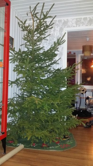 Oinredd julgran i vardagsrum med synlig fondvägg, snedtak och vitmålad renoveringsväv.