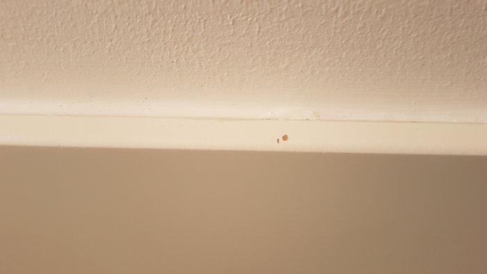 En spricka längs taklist i ett nymålat rum som illustrerar återkommande problem i husbygge.