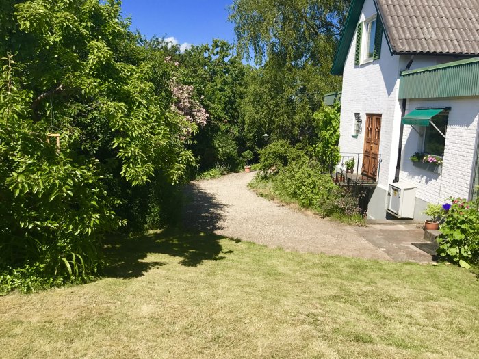 Tegelhus målat i vitt med grönt tak och grönskande trädgård, grusgång och gräsmatta på en solig dag.