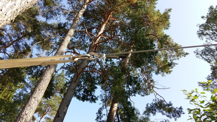 Infästning av 4 tons spännband runt trädstam med schackel, kaus och wirelås synliga mot en bakgrund av trädtoppar och klar himmel.