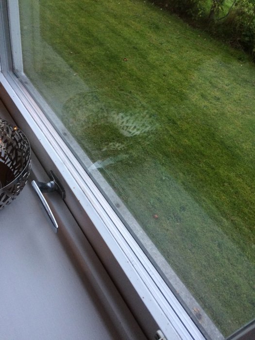 Avtryck av en hand på insidan av ett fönster med utsikt över en grön trädgård i skymning.