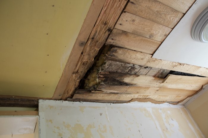 Delvis riven innertak med synlig träskada och röta på takbjälkar i ett äldre hus.