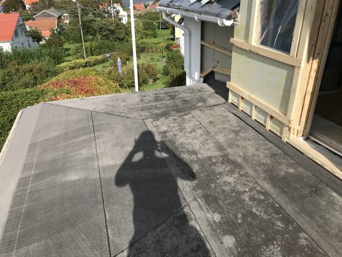 Skugga av fotografen på ett tak med utsikt över en trädgård och hängrännor.