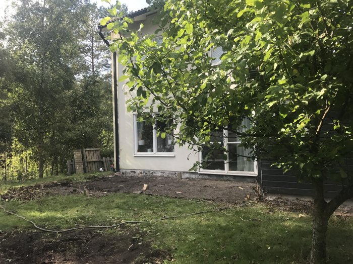 Röjd tomt med utsikt mot skogen, äppelträd nära hus med altandörr och fönster, byggarbetsplaner markeras.