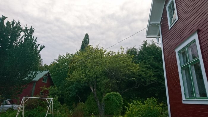 Ny upphängd elektrisk kabel mellan rödt trähus och uthus över grönskande trädgård.