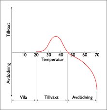 Diagram som visar förhållandet mellan temperatur och tillväxt med brytpunkt vid 45 grader.