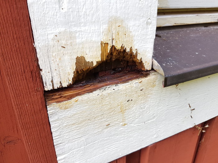 Rötskadat fönsterfoder med flagnande vit färg och synligt hål nertill på husvägg.