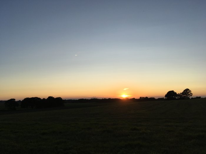 Solnedgång över ett öppet fält med trädlinje i silhuett mot en klar himmel.