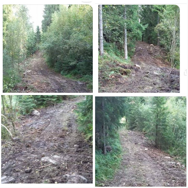 Fyra bilder på olika delar av en smal skogsväg omgiven av träd och vegetation.