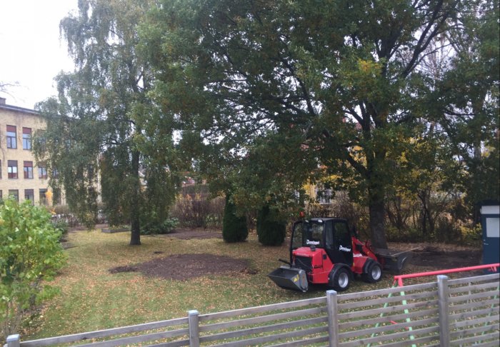 Utsikt över en skuggig trädgård med träd och hög beväxtlighet, en skolbyggnad i bakgrunden och en minilastare i förgrunden.