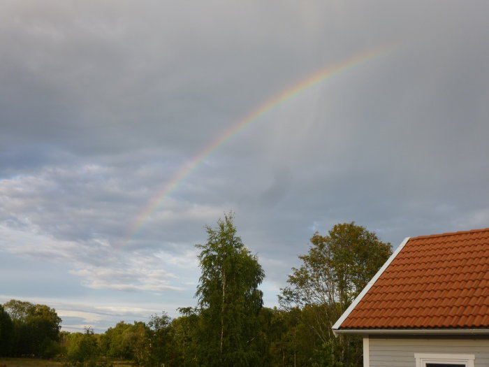 Regnbåge över en bostad och träd mot en bakgrund av molnigt himmel.