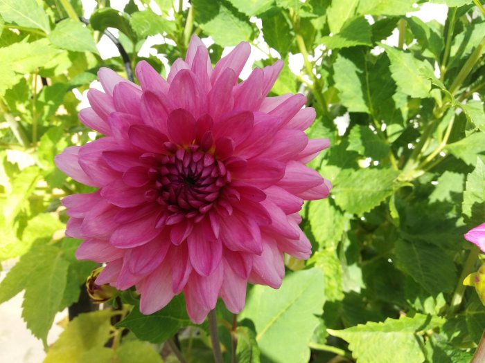 20170903_163943.jpg