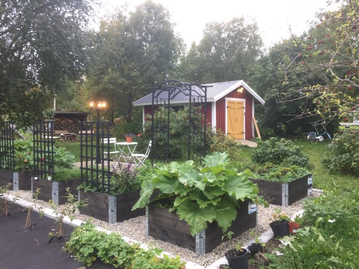Trädgård vid skymning med tänd lyktstolpe och upplyst förråd, odlingslådor i förgrunden.