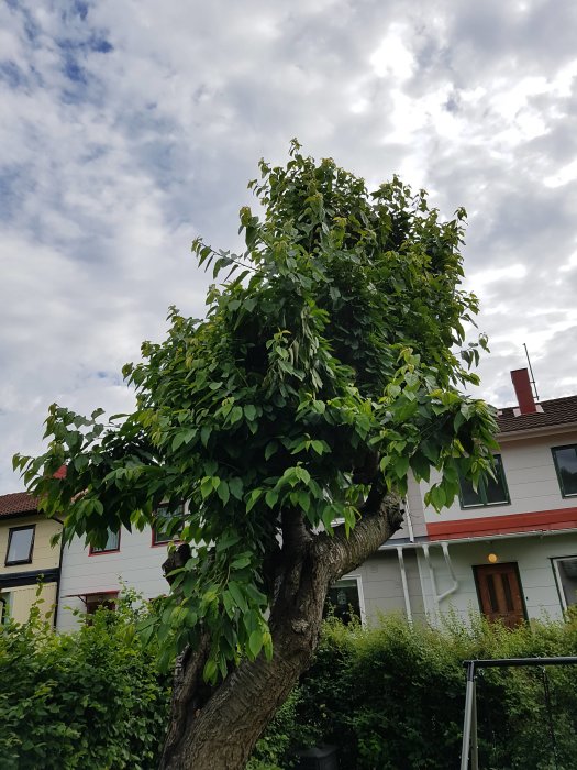 20170628_165740.jpg
