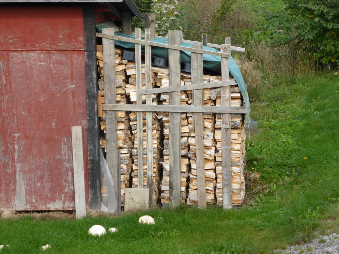 Vedtrave vid röd stuga med öppen konstruktion och täckt ovansida för torkning.