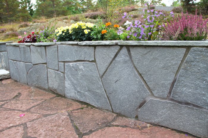 Grå stenmur ungefär 70cm hög klädd med oregelbundna stenplattor och blommor ovanpå mot en trädgårdsbakgrund.