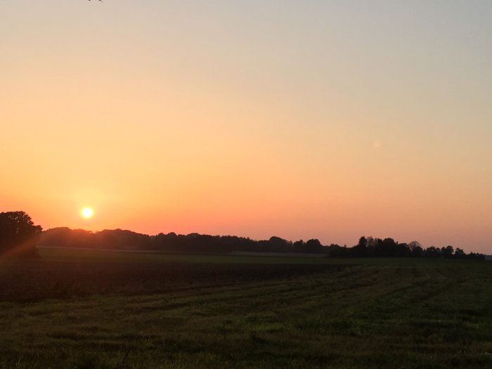 Solnedgång över ett öppet fält med träd i silhuett den 24 september 2017.