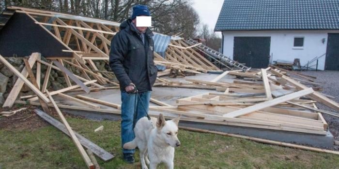 Man och hund framför nerrivet trähus skelett efter stormen Gorm.