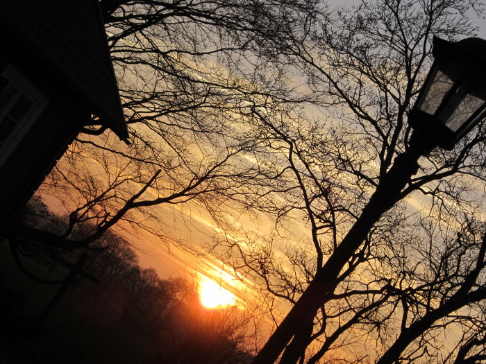 Solnedgång bakom trädgrenar med del av en gatlykta och huskant, vinter/vårskifte.