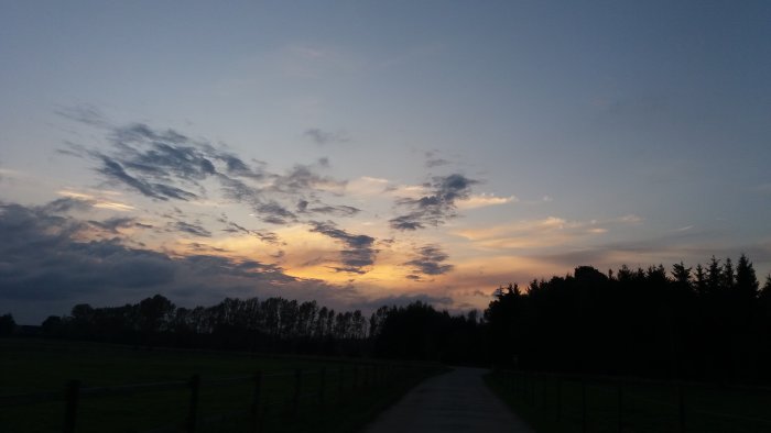 Solnedgång med målande himmel och silhuett av träd längs en landsväg.